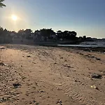 Ti Olli Cocon Chaleureux 300m *